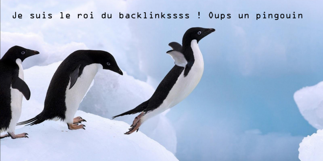 Avez-vous survécu à Pingouin ?